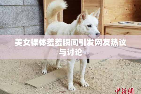美女裸体羞羞瞬间引发网友热议与讨论