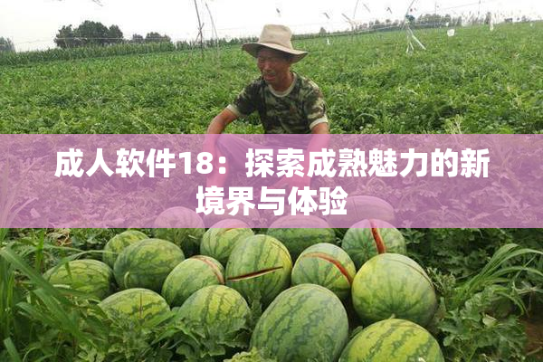 成人软件18：探索成熟魅力的新境界与体验