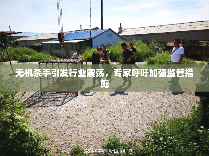 无机杀手引发行业震荡，专家呼吁加强监管措施