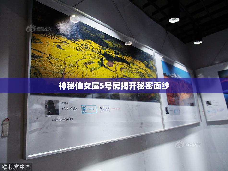 神秘仙女屋5号房揭开秘密面纱
