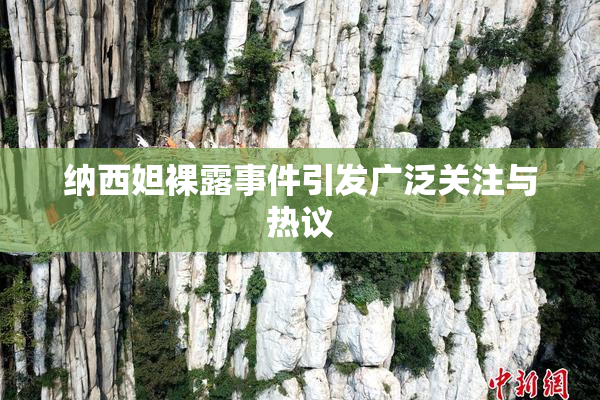 纳西妲裸露事件引发广泛关注与热议