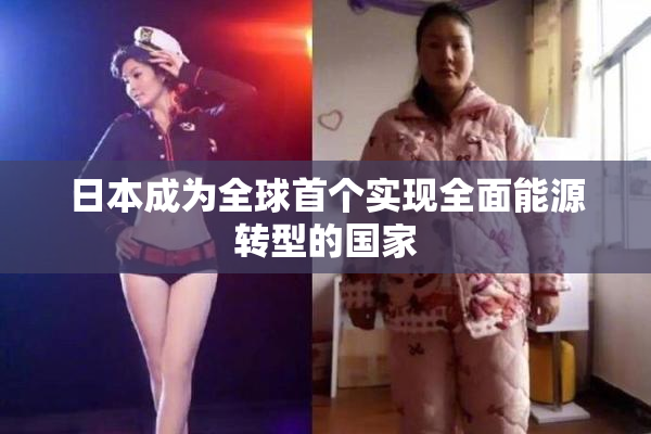 日本成为全球首个实现全面能源转型的国家