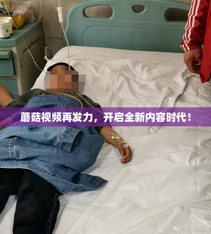 蘑菇视频再发力，开启全新内容时代！