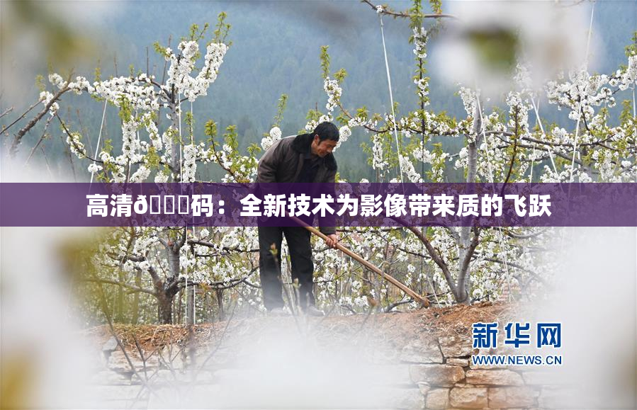 高清🈚码：全新技术为影像带来质的飞跃