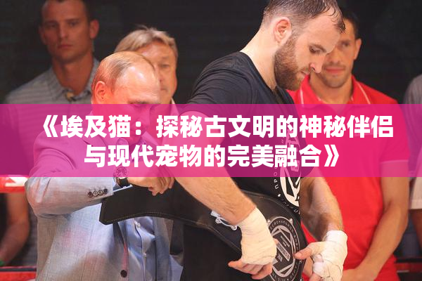 《埃及猫：探秘古文明的神秘伴侣与现代宠物的完美融合》
