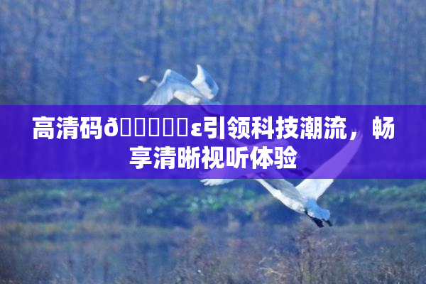 高清码🔞❌‌ε引领科技潮流，畅享清晰视听体验