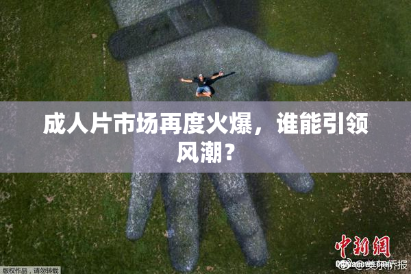 成人片市场再度火爆，谁能引领风潮？