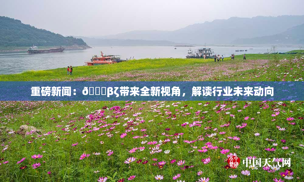 重磅新闻：👙βζ带来全新视角，解读行业未来动向