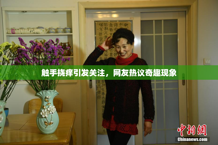 触手挠痒引发关注，网友热议奇趣现象