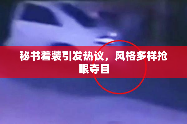 秘书着装引发热议，风格多样抢眼夺目