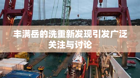 丰满岳的洗重新发现引发广泛关注与讨论