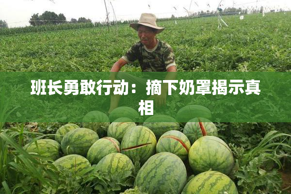 班长勇敢行动：摘下奶罩揭示真相