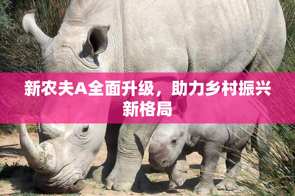 新农夫A全面升级，助力乡村振兴新格局