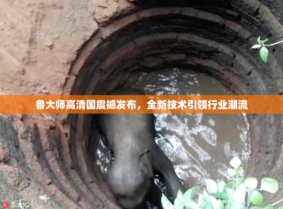 鲁大师高清国震撼发布，全新技术引领行业潮流