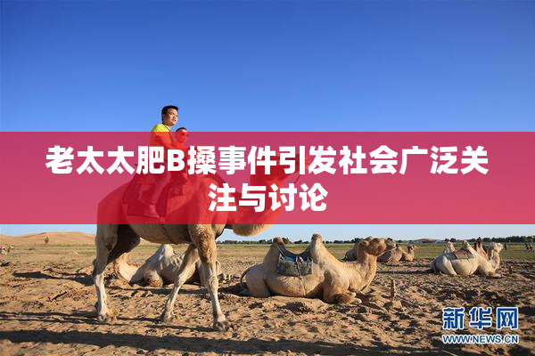 老太太肥B搡事件引发社会广泛关注与讨论