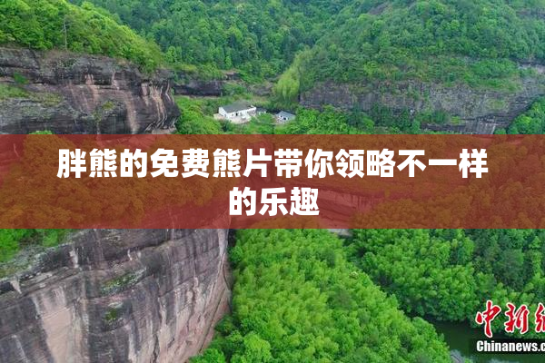 胖熊的免费熊片带你领略不一样的乐趣