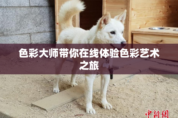 色彩大师带你在线体验色彩艺术之旅