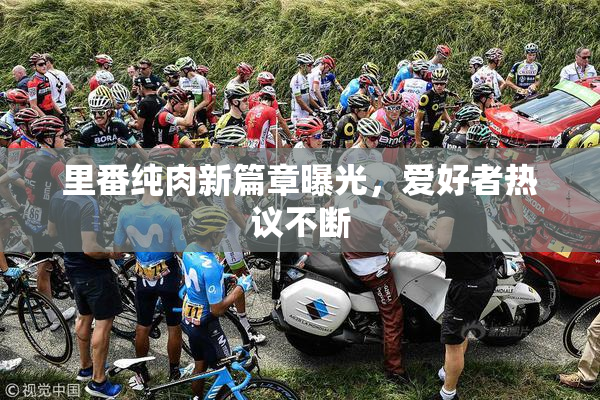 里番纯肉新篇章曝光，爱好者热议不断
