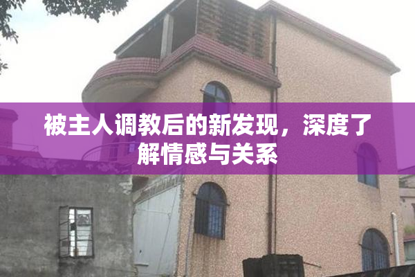 被主人调教后的新发现，深度了解情感与关系