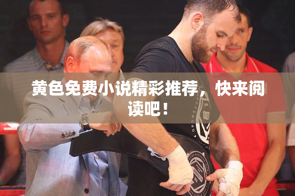 黄色免费小说精彩推荐，快来阅读吧！
