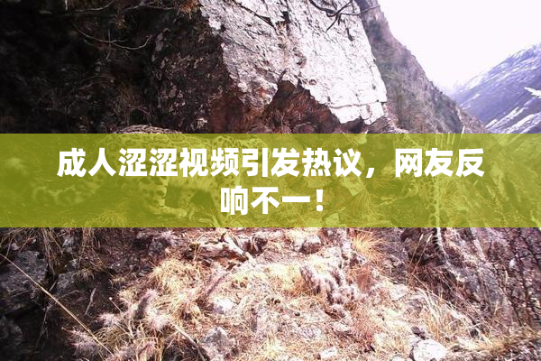 成人涩涩视频引发热议，网友反响不一！