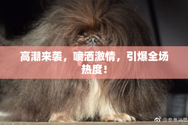高潮来袭，喷洒激情，引爆全场热度！