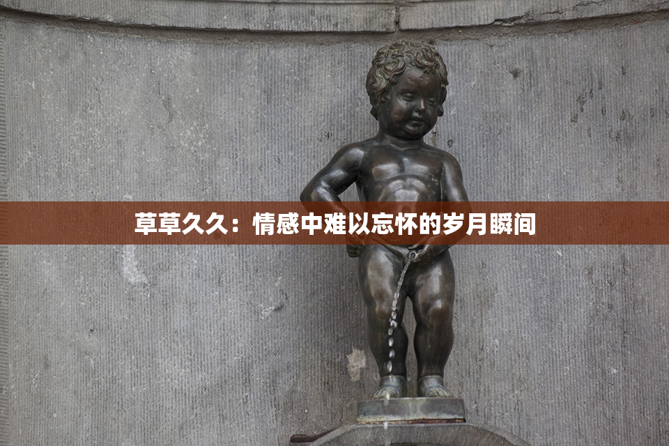 草草久久：情感中难以忘怀的岁月瞬间