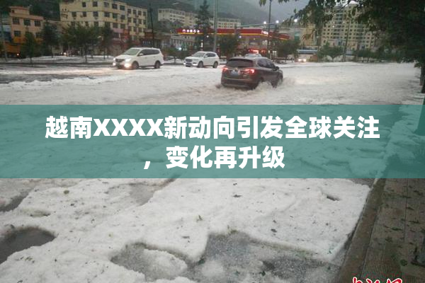 越南XXXX新动向引发全球关注，变化再升级