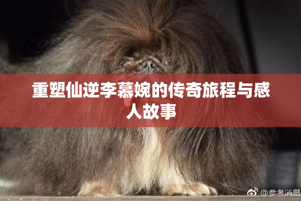 重塑仙逆李慕婉的传奇旅程与感人故事