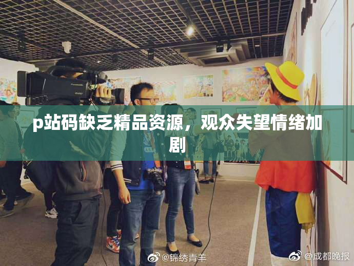 p站码缺乏精品资源，观众失望情绪加剧