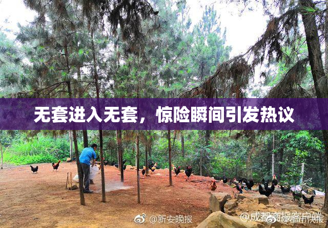 无套进入无套，惊险瞬间引发热议