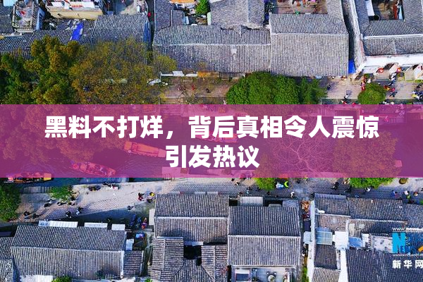 黑料不打烊，背后真相令人震惊引发热议