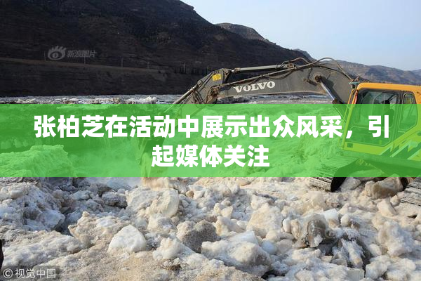 张柏芝在活动中展示出众风采，引起媒体关注
