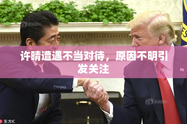 许晴遭遇不当对待，原因不明引发关注