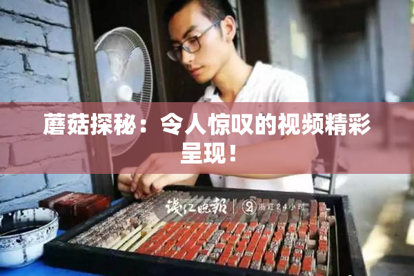 蘑菇探秘：令人惊叹的视频精彩呈现！