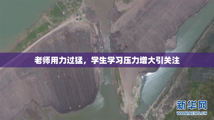 老师用力过猛，学生学习压力增大引关注