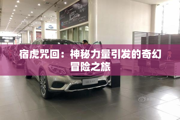 宿虎咒回：神秘力量引发的奇幻冒险之旅