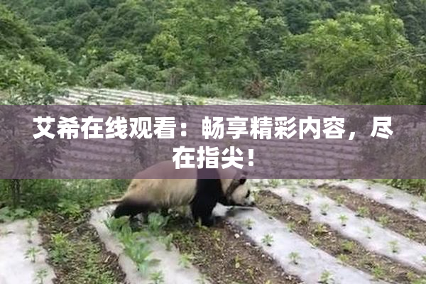 艾希在线观看：畅享精彩内容，尽在指尖！