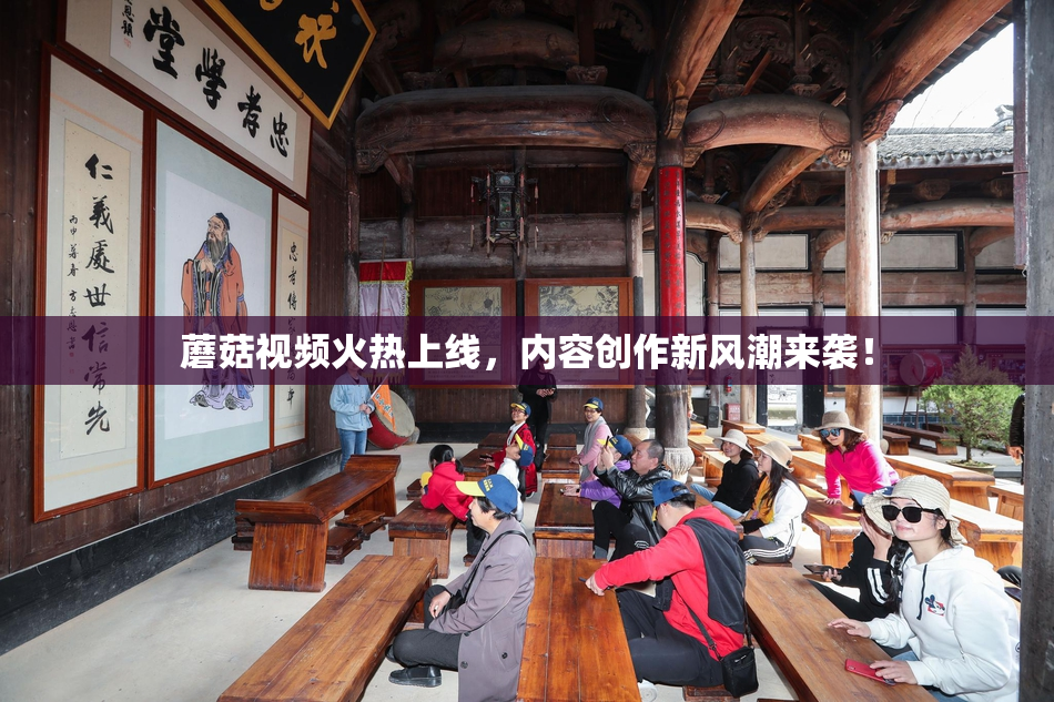 蘑菇视频火热上线，内容创作新风潮来袭！