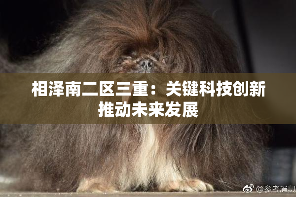 相泽南二区三重：关键科技创新推动未来发展