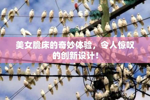 美女脆床的奇妙体验，令人惊叹的创新设计！