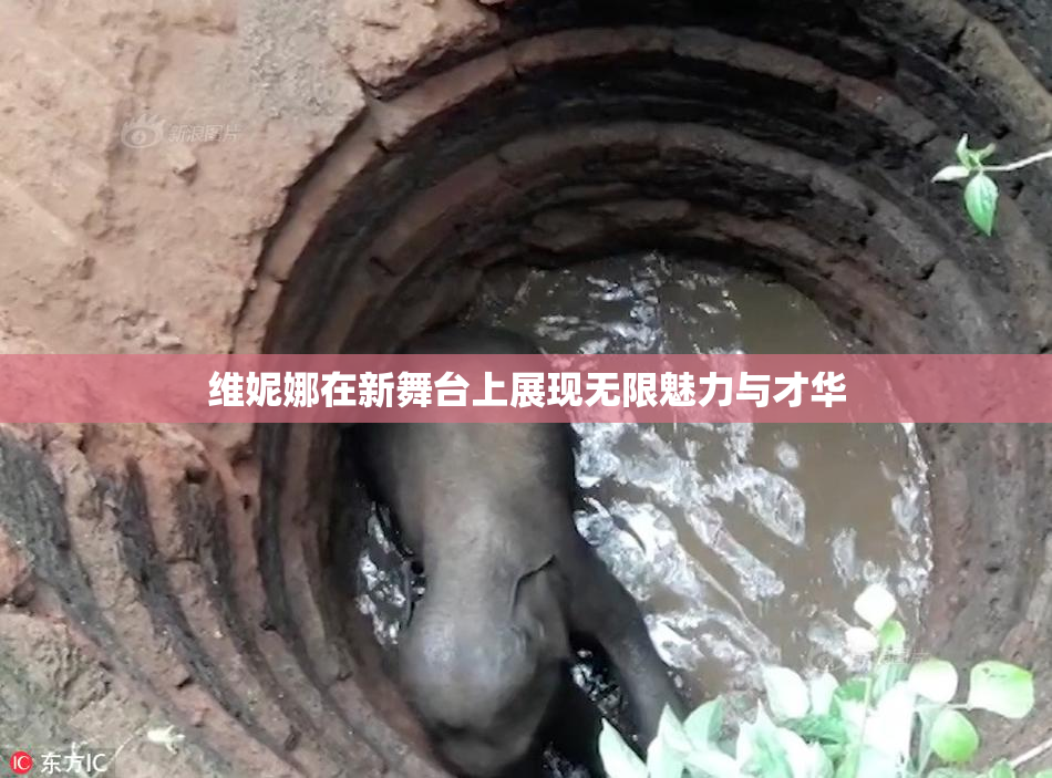 维妮娜在新舞台上展现无限魅力与才华