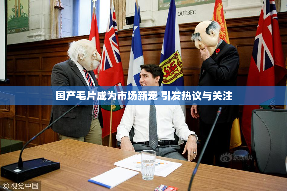 国产毛片成为市场新宠 引发热议与关注