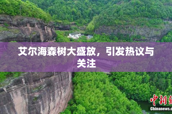 艾尔海森树大盛放，引发热议与关注