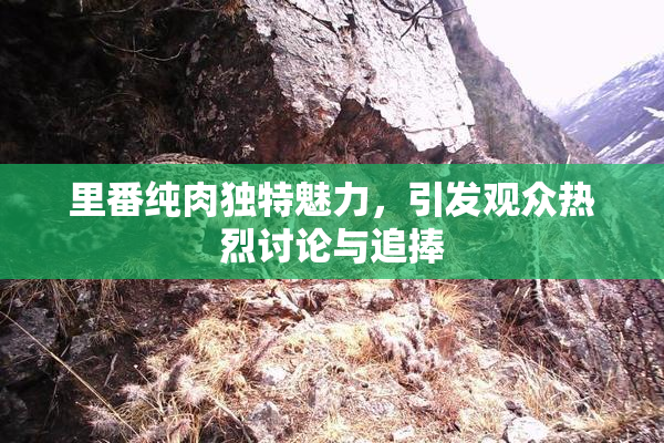 里番纯肉独特魅力，引发观众热烈讨论与追捧