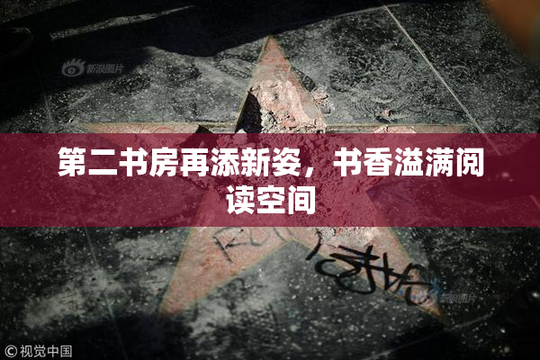 第二书房再添新姿，书香溢满阅读空间