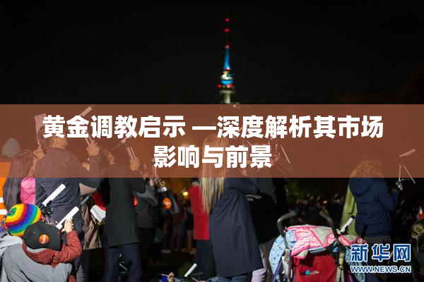 黄金调教启示 —深度解析其市场影响与前景