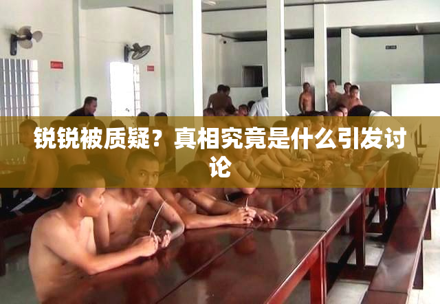 锐锐被质疑？真相究竟是什么引发讨论