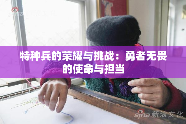 特种兵的荣耀与挑战：勇者无畏的使命与担当