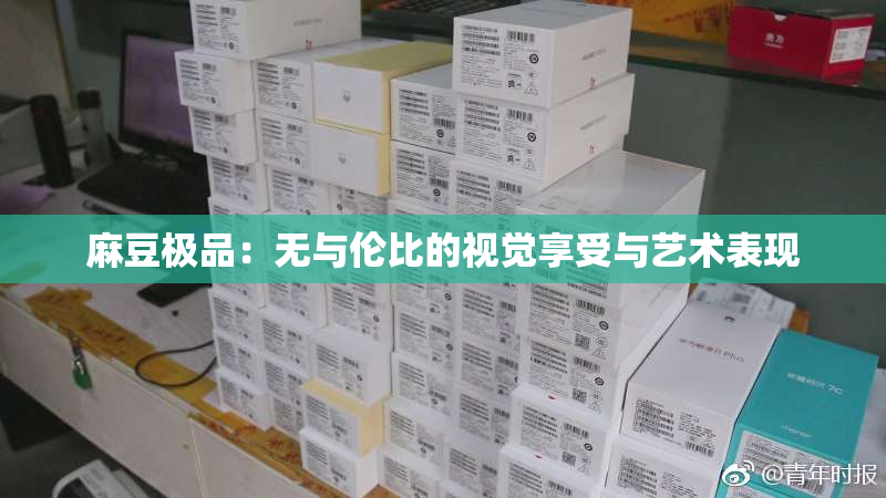 麻豆极品：无与伦比的视觉享受与艺术表现